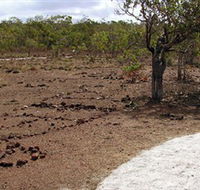 Wurrwurrwuy Garanhan Macassan Beach Interpretive Walk - Accommodation QLD