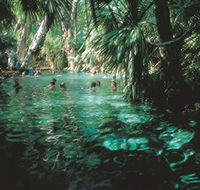 Mataranka Thermal Pool - Accommodation QLD