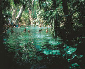 Mataranka Thermal Pool - Accommodation QLD 0
