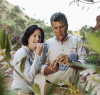 Simpsons Gap - Accommodation QLD