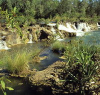 Flora River Nature Park - Accommodation QLD