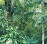 Westside Track Maiala - Accommodation QLD