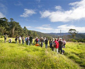 Springbrook QLD Accommodation QLD