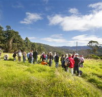 Apple Tree Park - Accommodation QLD