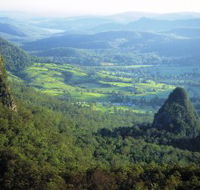 Springbrook Plateau Springbrook National Park - Accommodation QLD