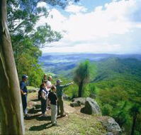 Gold Coast Hinterland Great Walk - Accommodation QLD