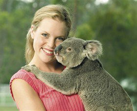  Accommodation QLD