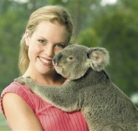 Paradise Country Aussie Farm Tour - Accommodation QLD