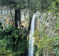 Gondwana Rainforests of Australia - Accommodation QLD