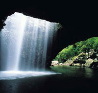 Natural Bridge Springbrook National Park - Accommodation QLD