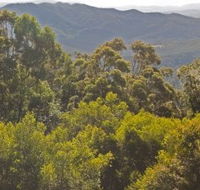 Conondale National Park - Accommodation QLD