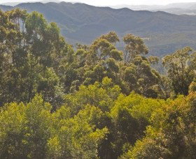 Conondale National Park - Accommodation QLD 0