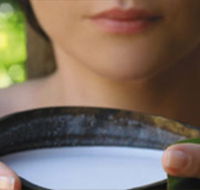 Ikatan Day Spa - Accommodation QLD