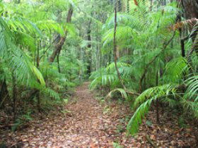 Mapleton QLD Accommodation QLD