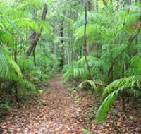 Delicia Road Conservation Park - Accommodation QLD