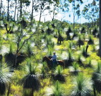 Bicentennial National Trail - Section 5 - Accommodation QLD