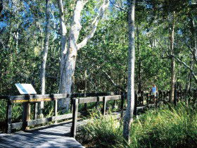 Noosa Heads QLD Accommodation QLD