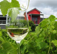 Flame Hill Vineyard - Accommodation QLD