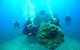 Ex-HMAS Brisbane Conservation Park - thumb 0