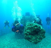 Ex-HMAS Brisbane Conservation Park - Accommodation QLD