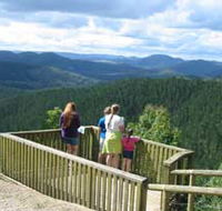 Kenilworth Forest Reserve - Accommodation QLD