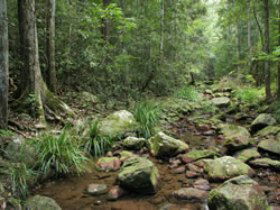 Amamoor QLD Accommodation QLD
