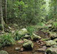 Amamoor State Forest - Accommodation QLD
