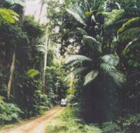 Conondale Great Walk - Accommodation QLD