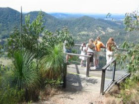 Mapleton Forest Reserve - Accommodation QLD 0