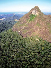 Mount Beerwah Track - Accommodation QLD 0