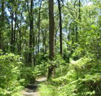 Mapleton Falls National Park - Accommodation QLD
