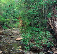 Mudlo National Park - Accommodation QLD