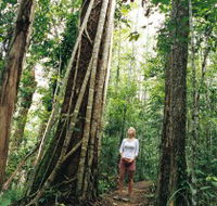 Wet Tropics - Accommodation QLD
