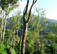 Smiths Track Barron Gorge National Park