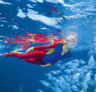 Pixie Pinnacle Dive Site