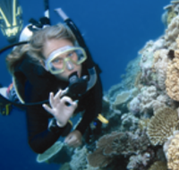 Moore Reef Dive Site