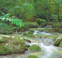 Mossman Gorge Daintree National Park - Accommodation QLD