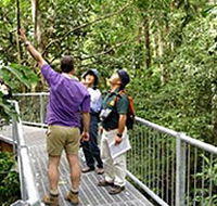 Daintree Discovery Centre - Accommodation QLD