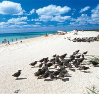 Michaelmas and Upolo Cays National Park