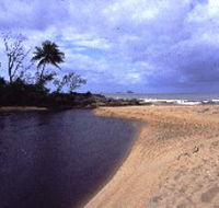 Russell River National Park - Accommodation QLD