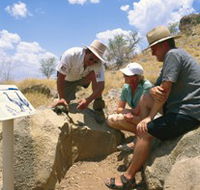 Riversleigh Fossil Fields - Accommodation QLD