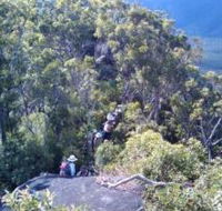 Mia Mia State Forest - Accommodation QLD