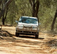 Ward River 4x4 Stock Route Trail - Accommodation QLD