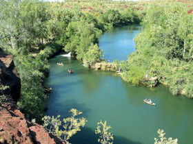 Wild Dog Dreaming, Boodjamulla (Lawn Hill) National Park - Accommodation QLD 0