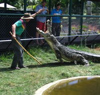 Snakes Downunder Reptile Park and Zoo - Accommodation QLD