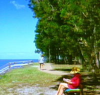 Melaleuca Track - Accommodation QLD