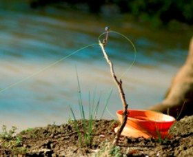 Charleville - Mangalore Warrego River Fishing Spot - Accommodation QLD 0