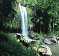 Curtis Falls Joalah Section - Accommodation QLD