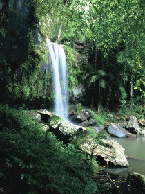 Curtis Falls, Joalah Section - Accommodation QLD 0