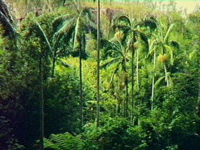 Tellebang QLD Accommodation QLD